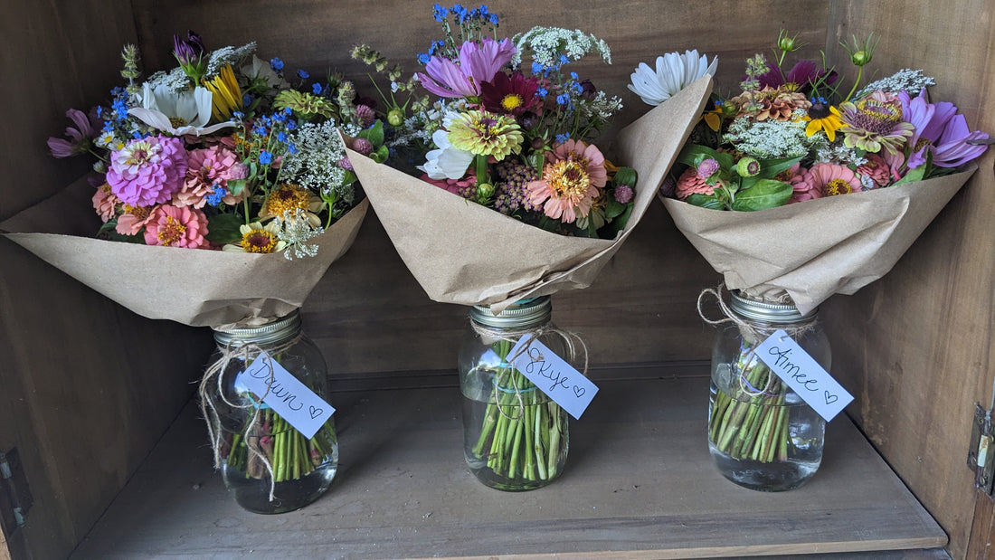 Flowers, Friends and Fields of Grace